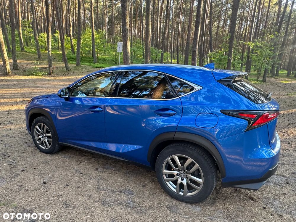 Lexus NX 300 Elegance AWD - 4