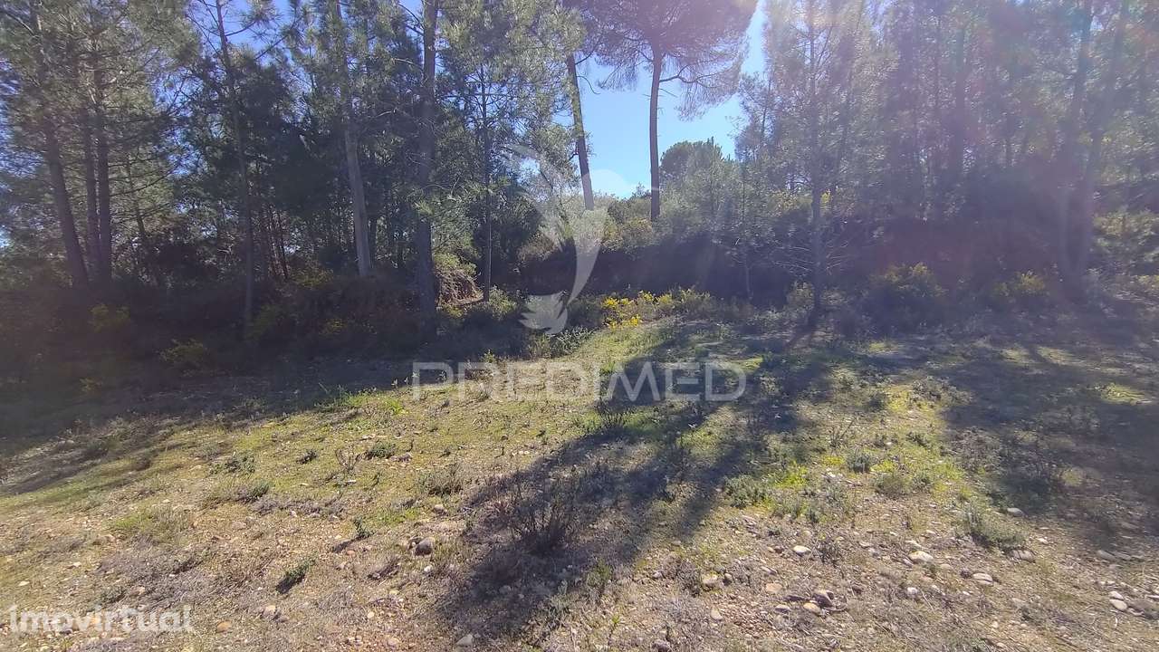 Terreno Rústico 1440 m2 - Grande imagem: 3/14