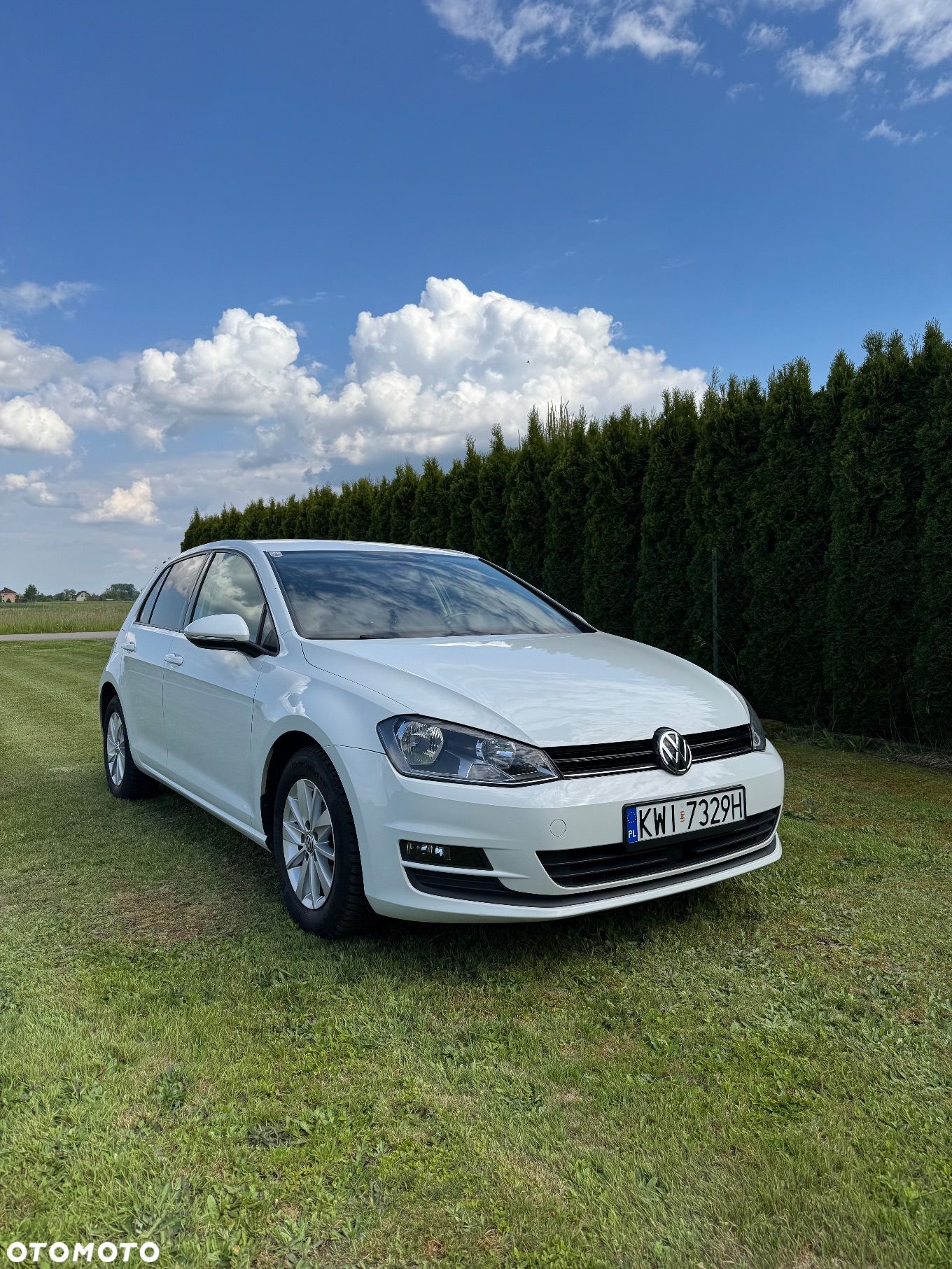 Volkswagen Golf - 1