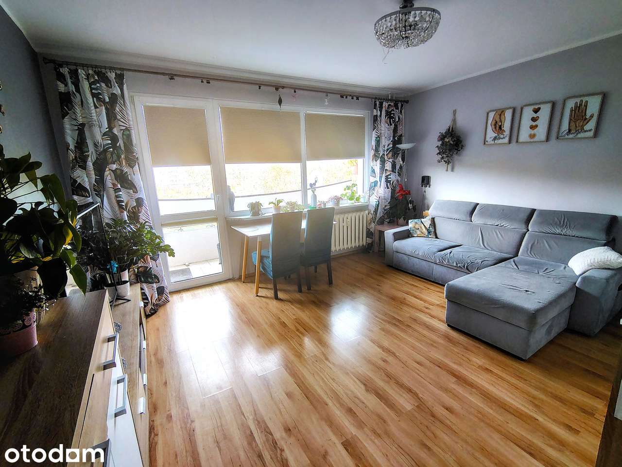 Mieszkanie w centrum Polic, 3 pokoje, 60m2, duży balkon
