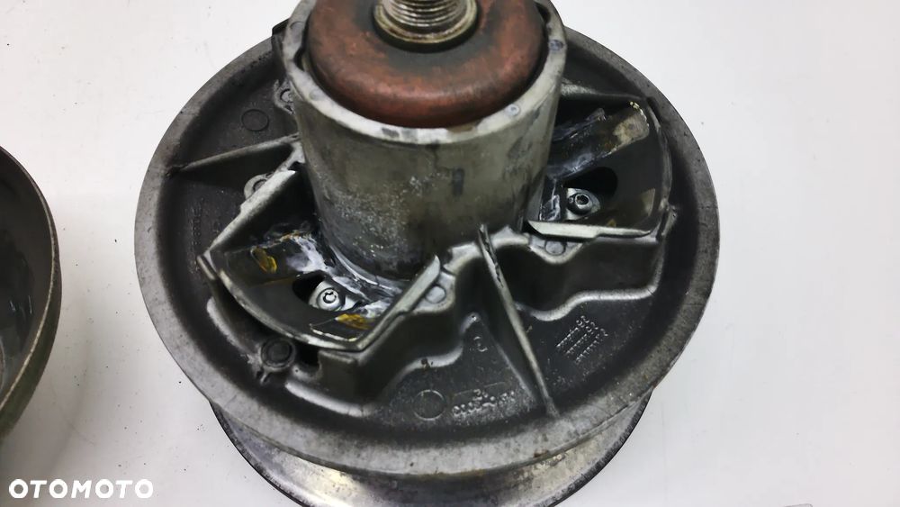 Ligier Microcar Wariator Lombardini - 6