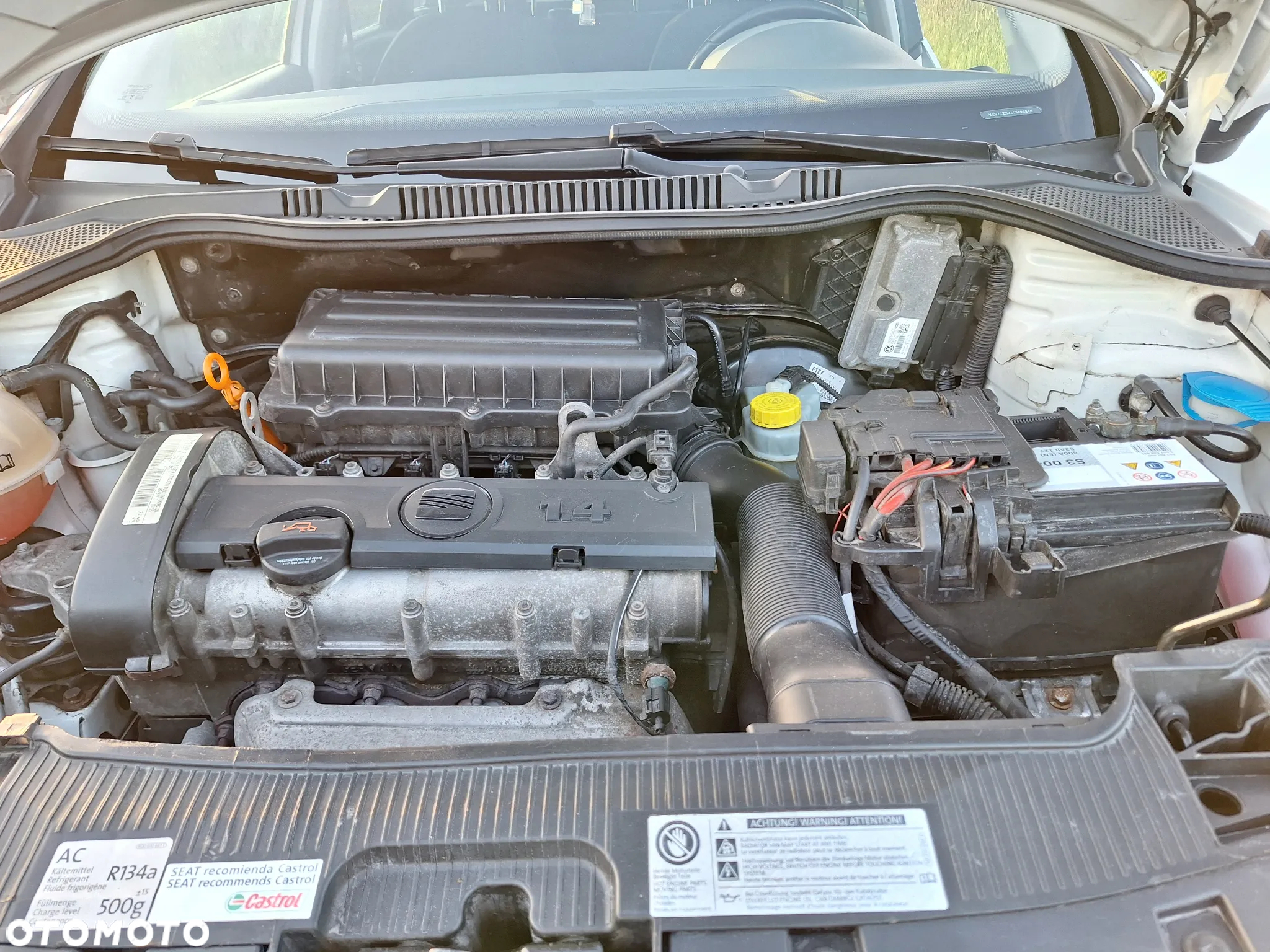 Seat Ibiza - 20