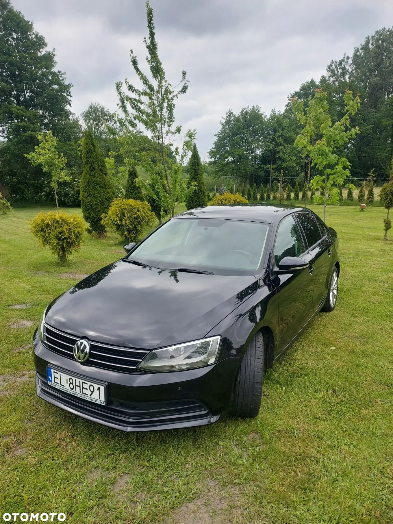 Volkswagen Jetta - 1