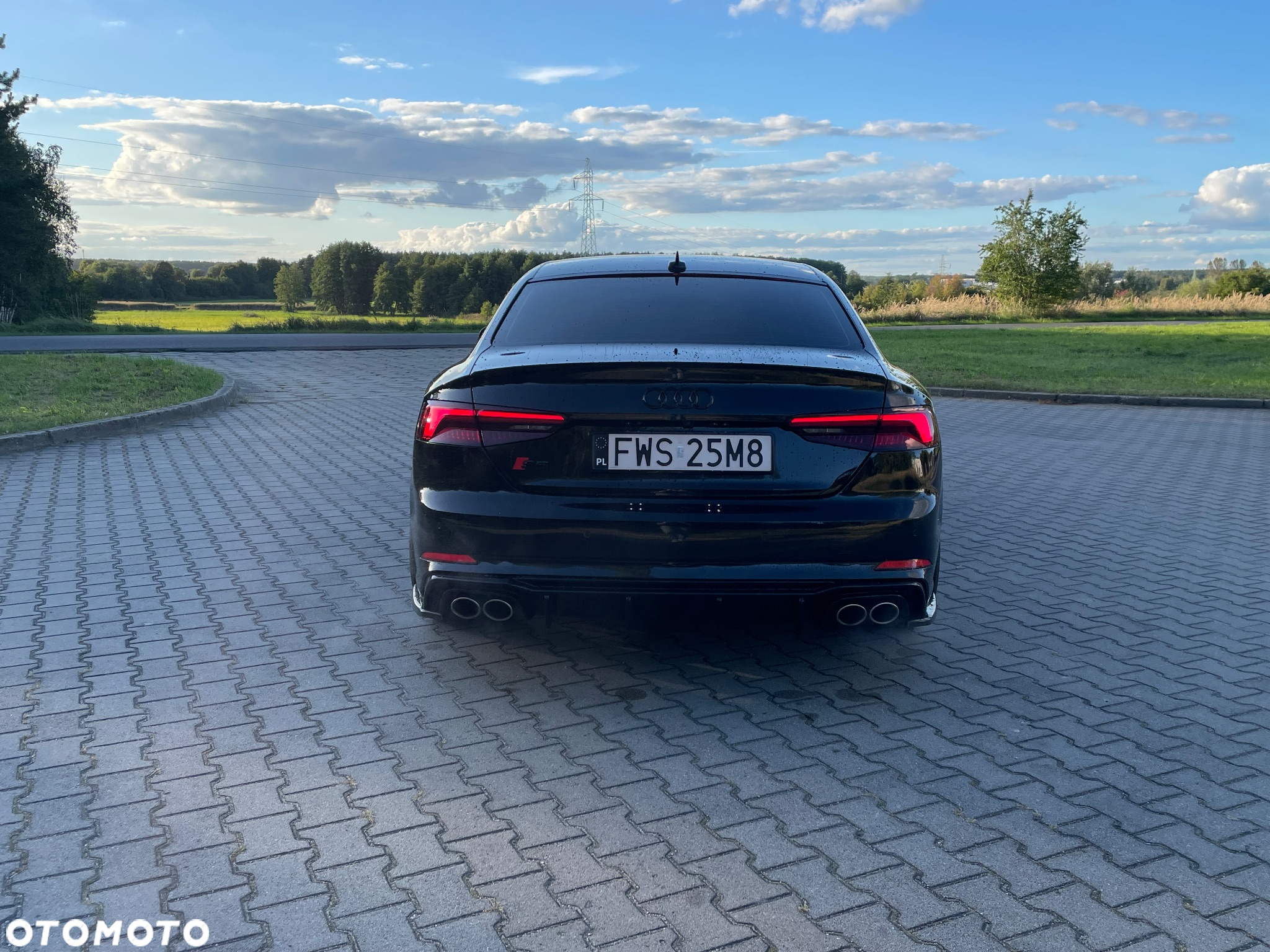 Audi S5 Coupé 3.0 TFSI quattro tiptronic - 16