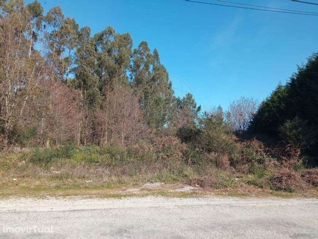 Terreno  para venda - Grande imagem: 3/4