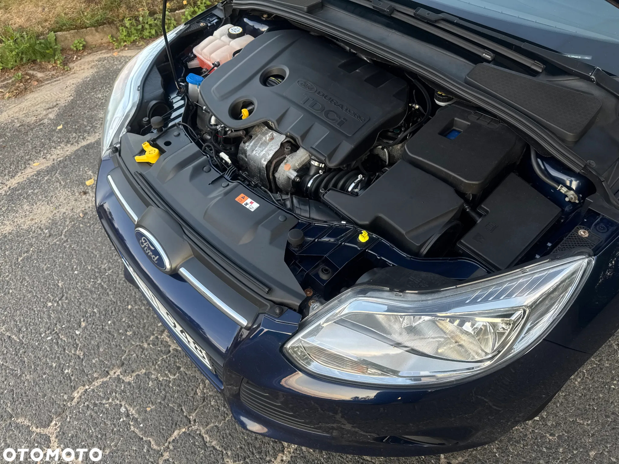 Ford Focus 1.6 TDCi Trend ECOnetic - 32