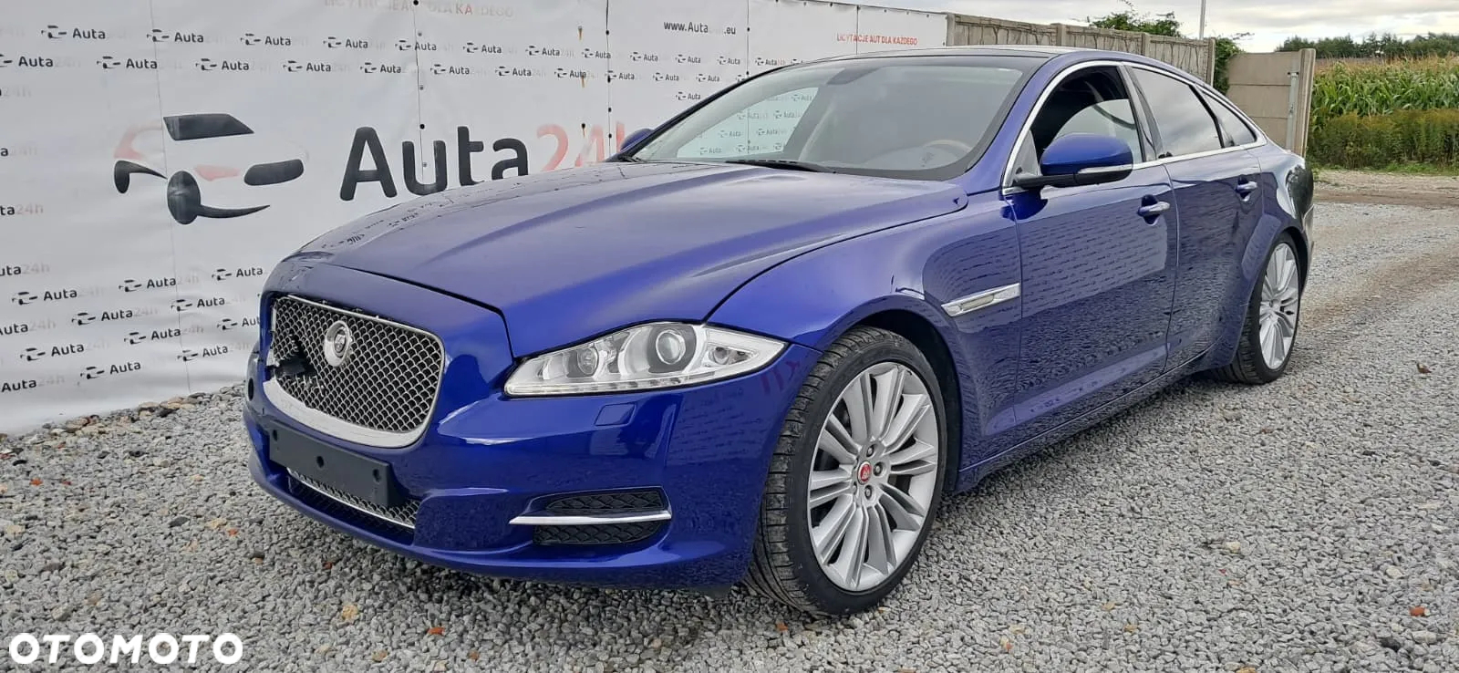 Jaguar XJ 5.0 V8 Premium Luxury - 5