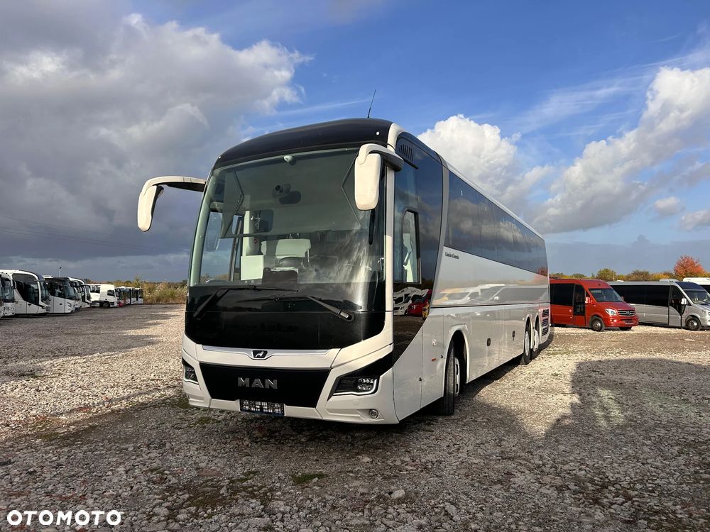 MAN LIONS COACH - 11