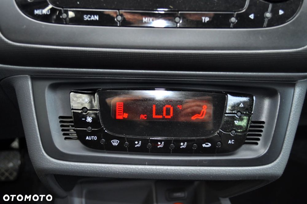 Seat Ibiza - 29