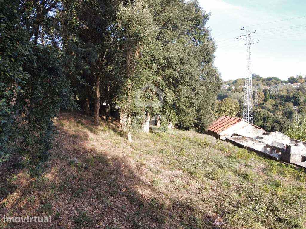 TERRENO RÚSTICO COM VIABILIDADE DE CONSTRUÇÃO | BAIRRO - Grande imagem: 5/22