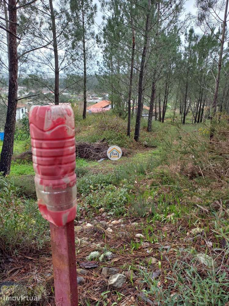 Terreno Rustico inserido no aglomerado urbano - Grande imagem: 4/12