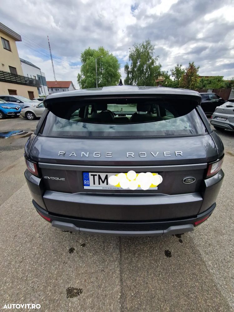Rover City Rover - 8
