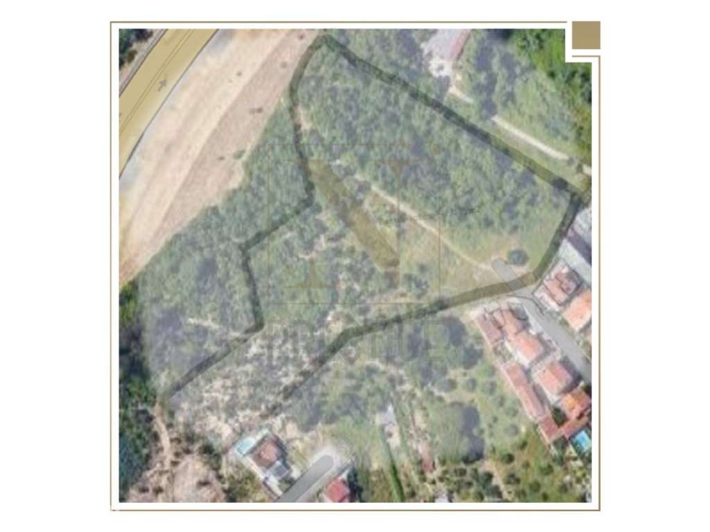 Terreno para construção em Santa Clara - Grande imagem: 2/2