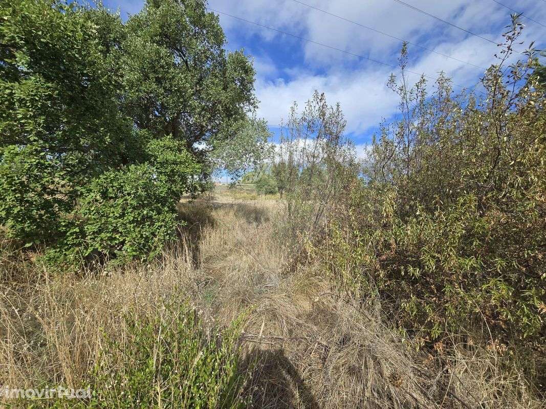 Terreno  para venda - Grande imagem: 4/12