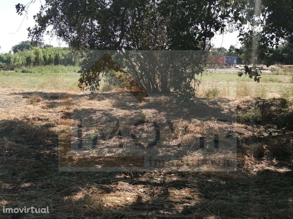 TERRENO Rústico com 5250 m2 no Terrim - Grande imagem: 2/27