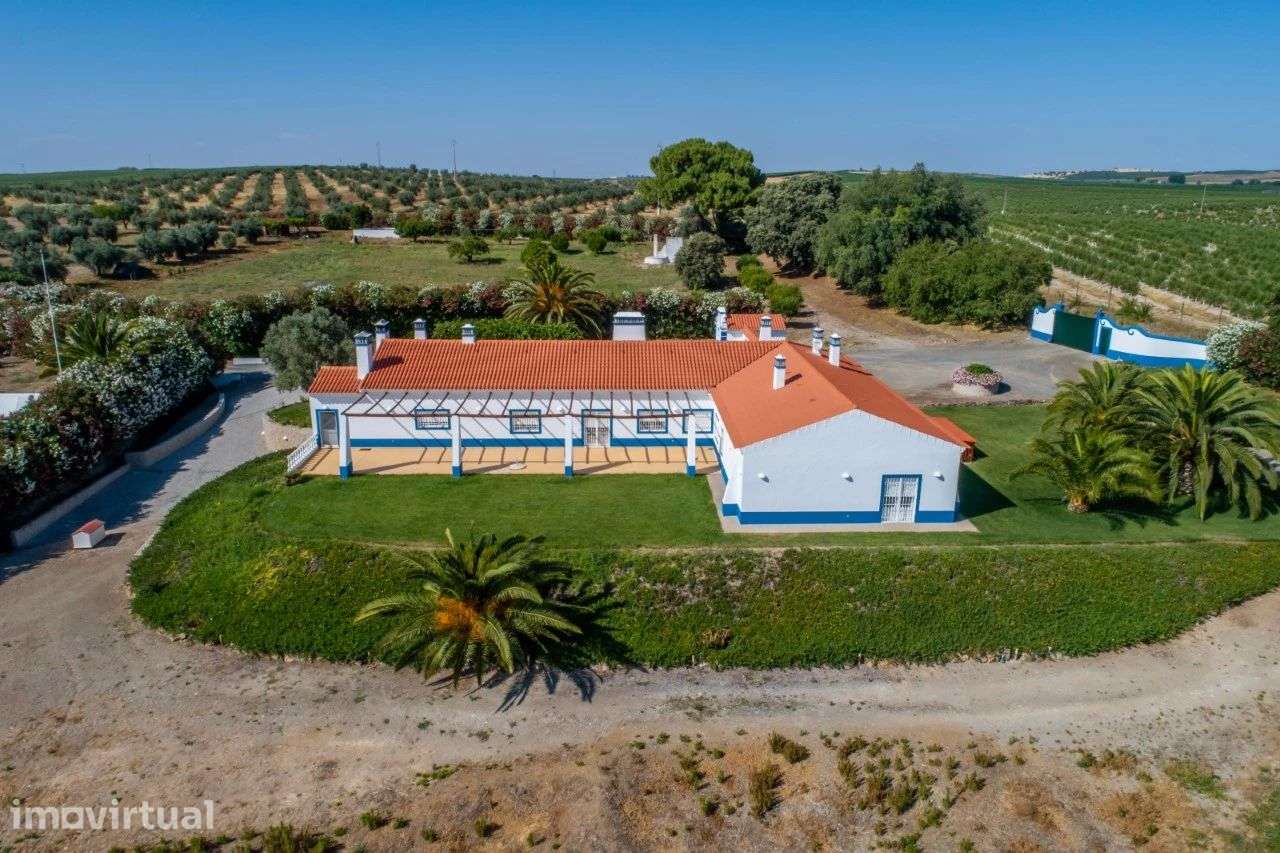 Quinta 29.1 ha, Ferreira do Alentejo - Grande imagem: 3/40