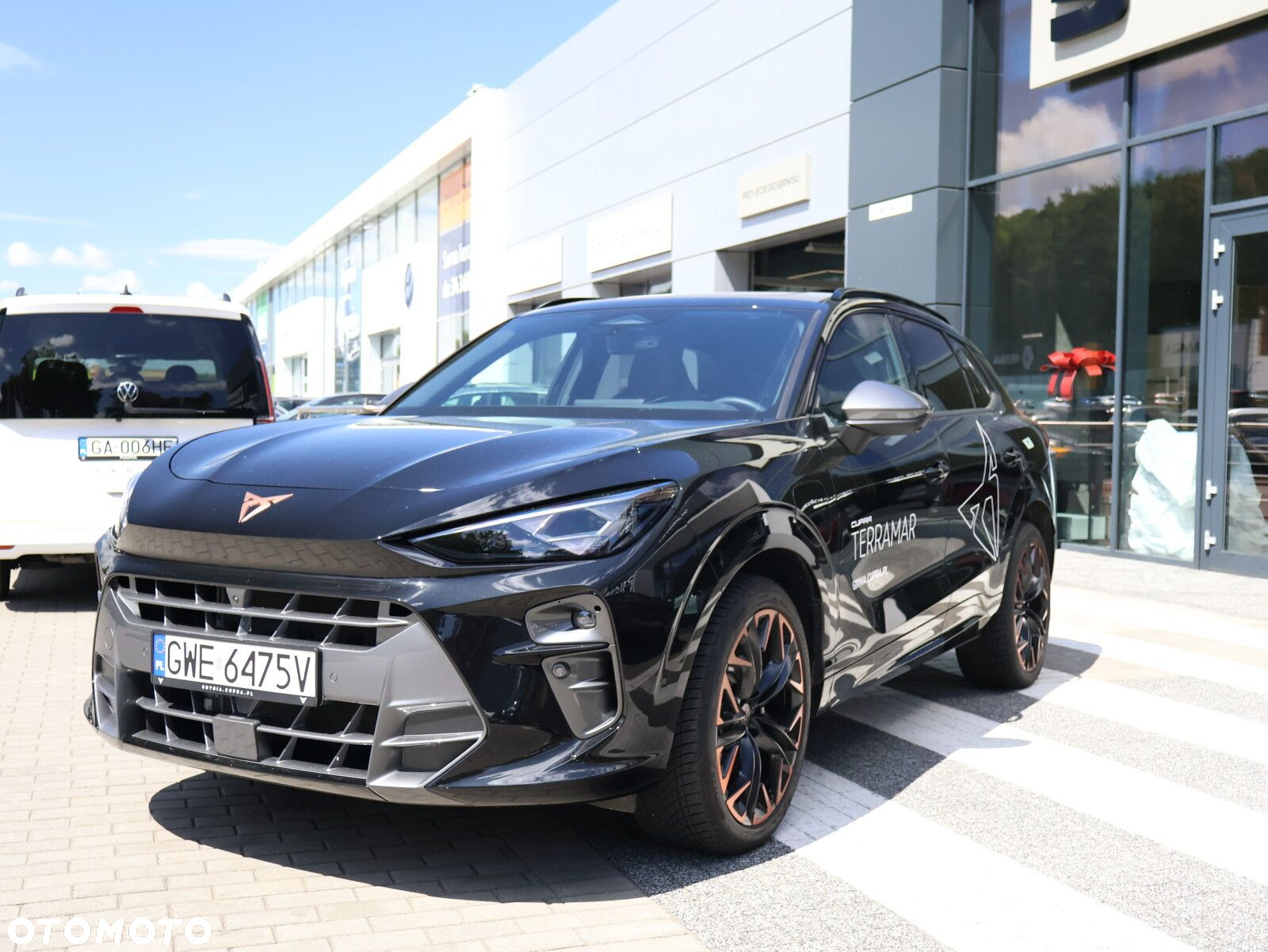 Cupra Terramar - 4
