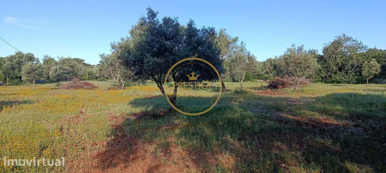 Casa de campo para recuperar em Loulé - Grande imagem: 3/13