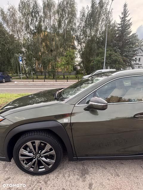 Lexus UX 250h F Sport 2WD - 13