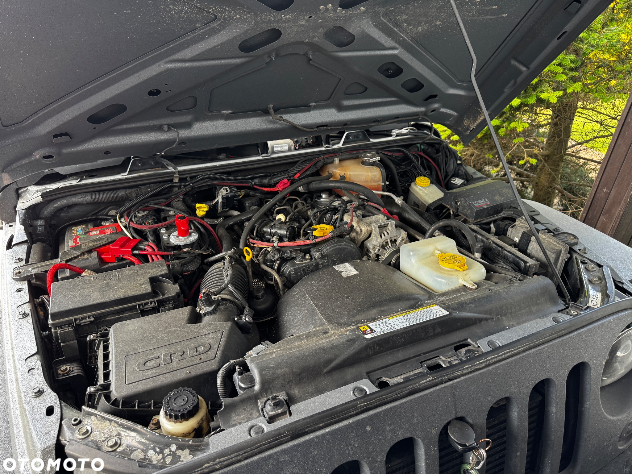 Jeep Wrangler - 21