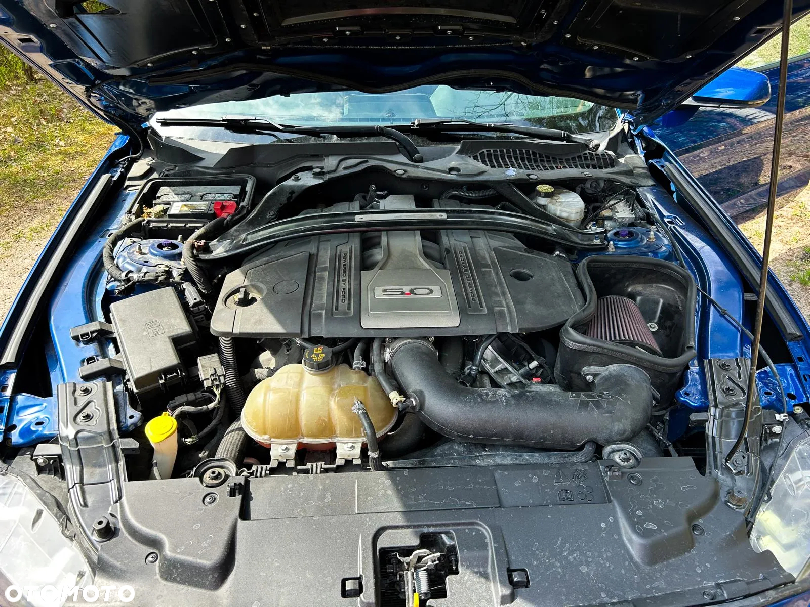Ford Mustang Fastback 5.0 Ti-VCT V8 MACH1 - 24