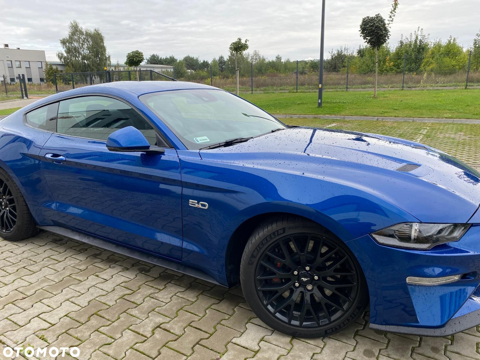 Ford Mustang 5.0 V8 GT - 3