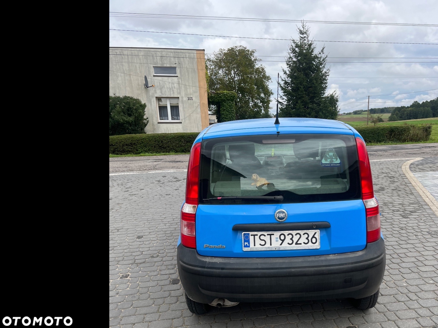 Fiat Panda - 9