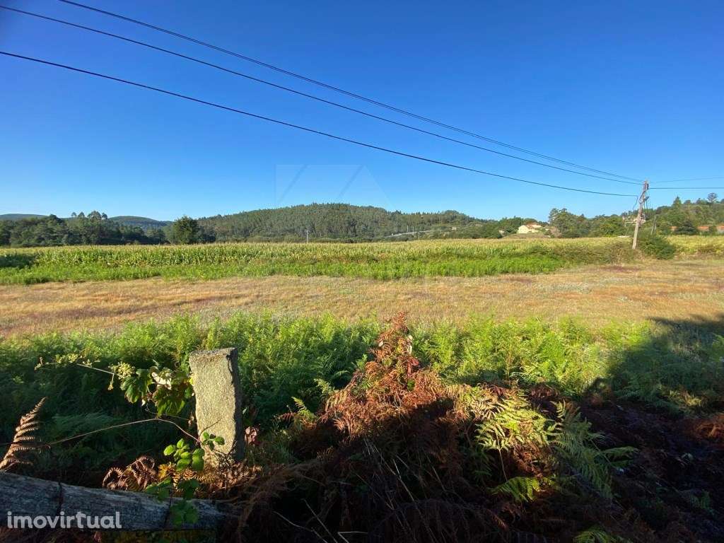 Terreno plano em Ferreira - Grande imagem: 5/9