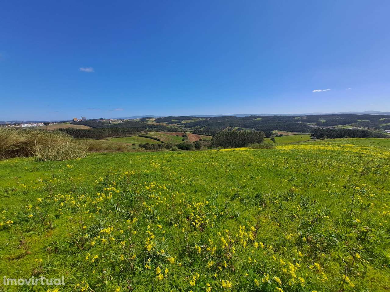 Terreno Agrícola com 26.760 m² no Vimeiro – Lourinhã - Grande imagem: 2/16