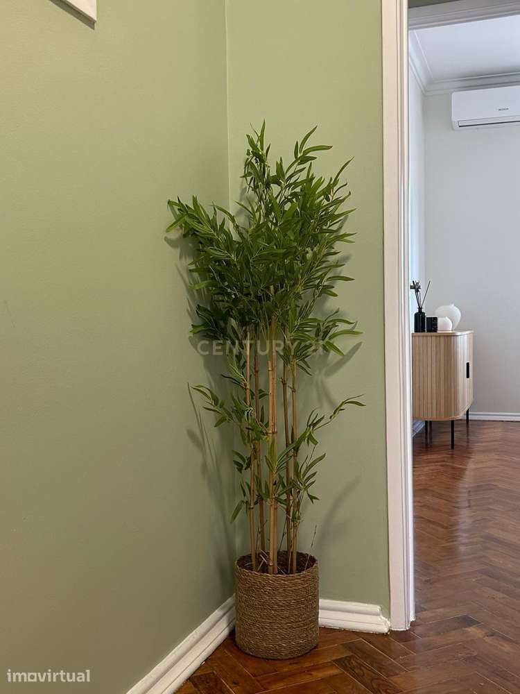 Apartamento T3 de Charme Totalmente Remodelado e Equipado com Vista De - Grande imagem: 4/53