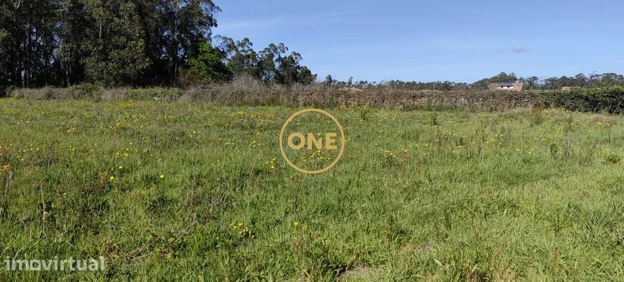 Terreno agrícola de grande dimensão em Rio Tinto, Esposende - Grande imagem: 5/16