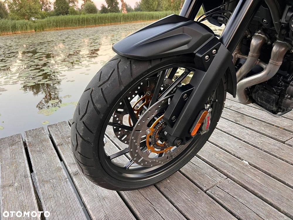 Triumph Tiger - 14