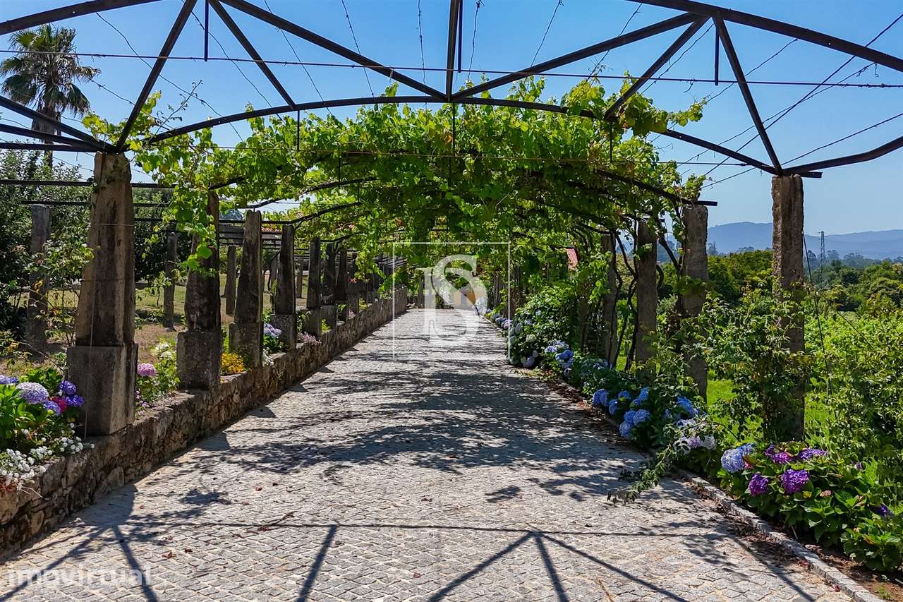 Quinta de Excelência no Coração do Minho com Produção Vinícola e de Ca - Grande imagem: 4/60
