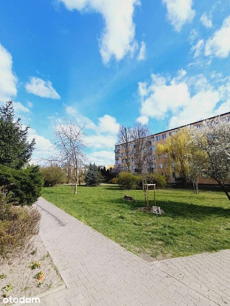 2 pokojowe mieszkanie, 32.18m2, III piętro, Os. Asnyka - Pełny obrazek: 2/12