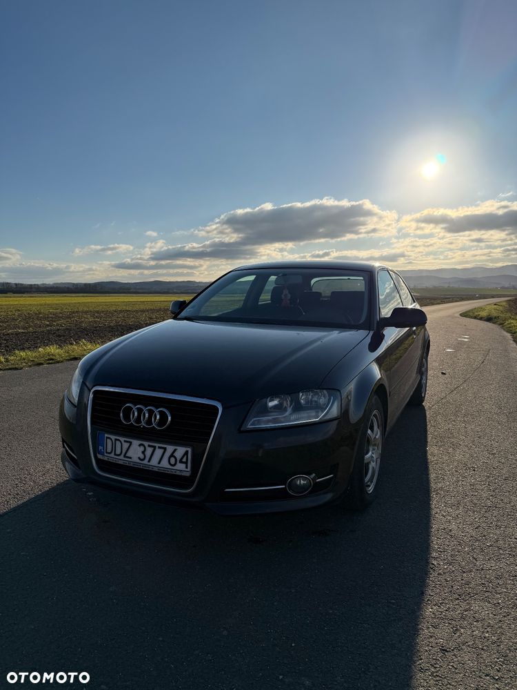 Audi A3 3-drzwiowe - 8