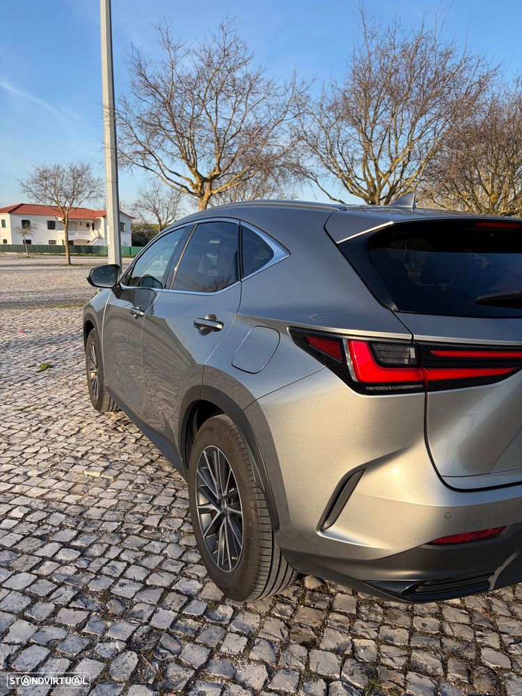 Lexus NX 450h+ Executive+ - 8