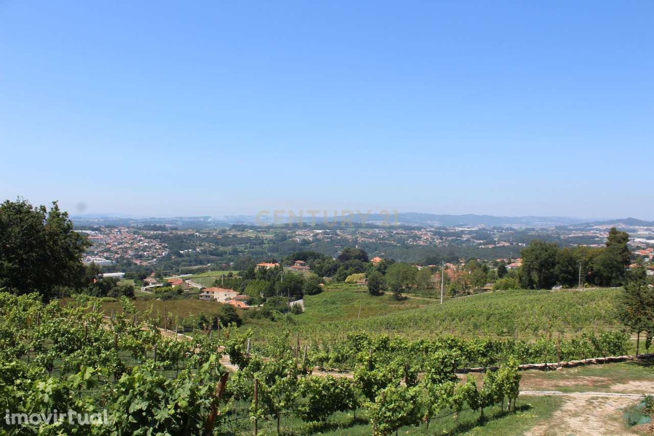 Quinta da Cerqueda, Santo Tirso - Grande imagem: 5/54