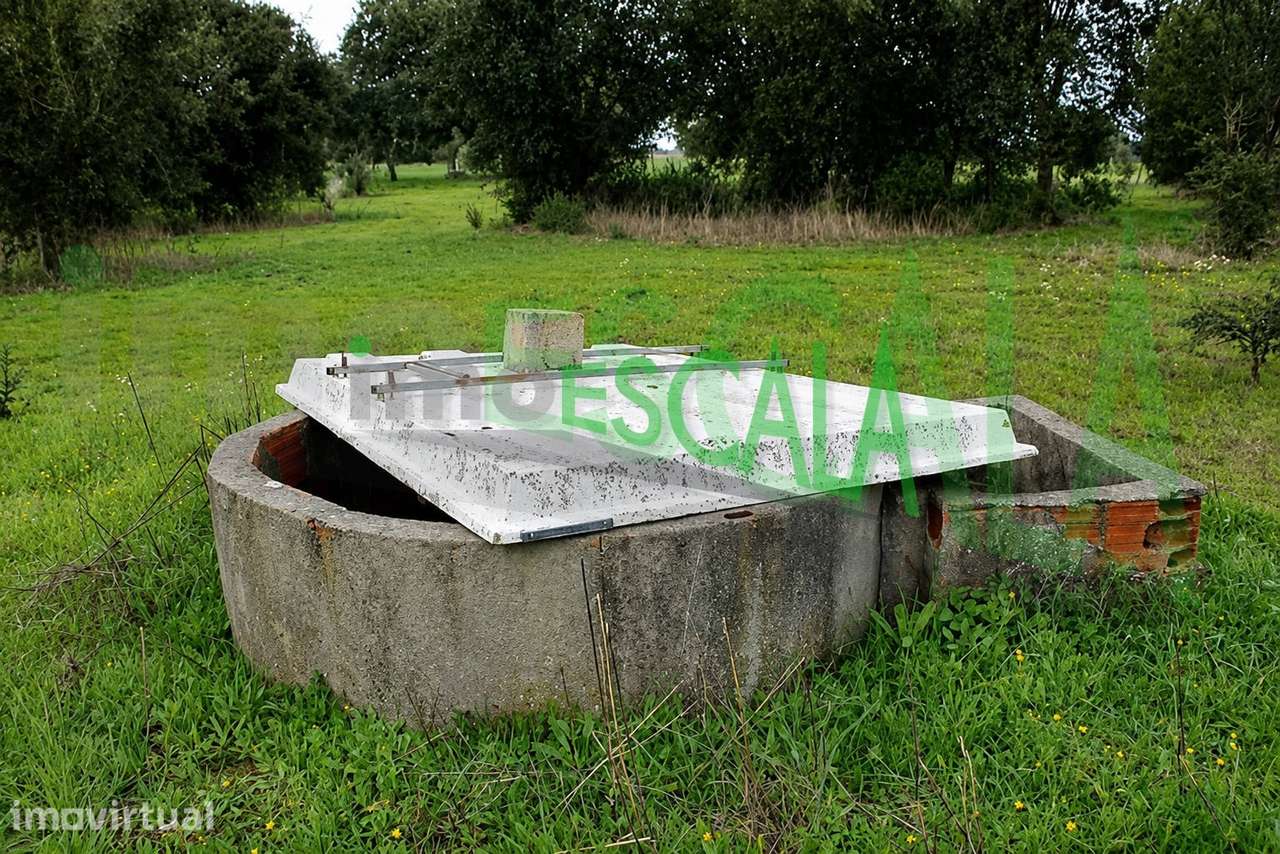Terreno em Benavente para fins industriais ou agrícolas - Grande imagem: 5/40