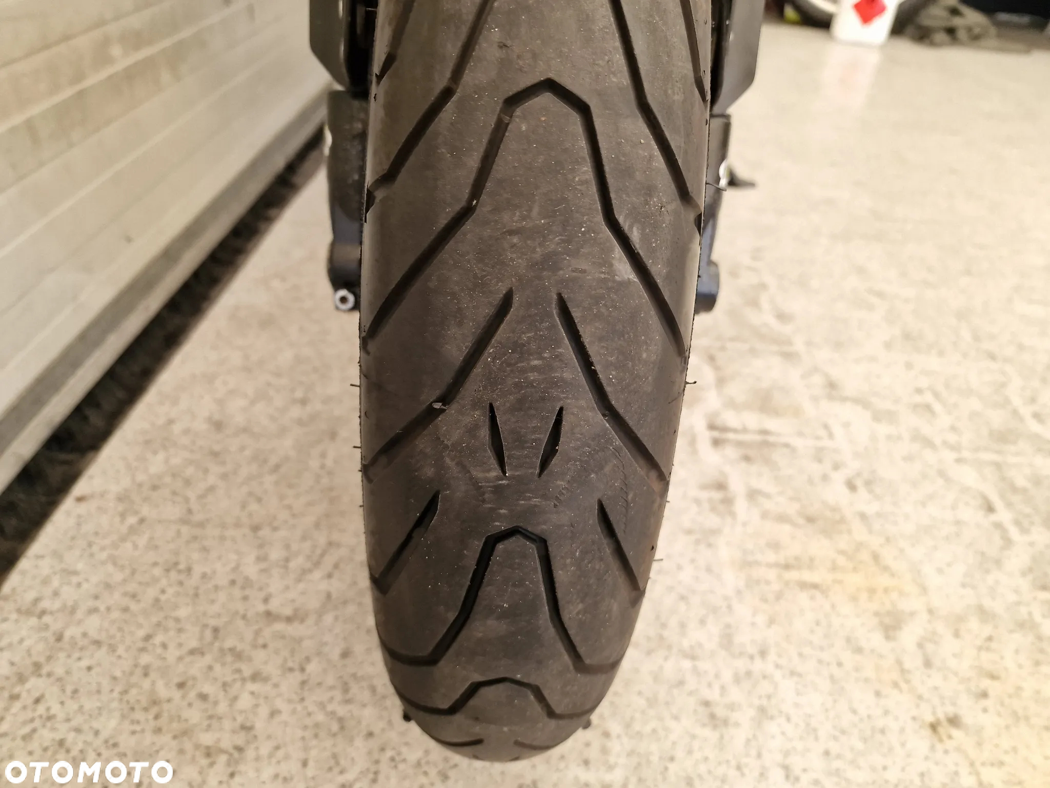 Triumph Tiger - 11
