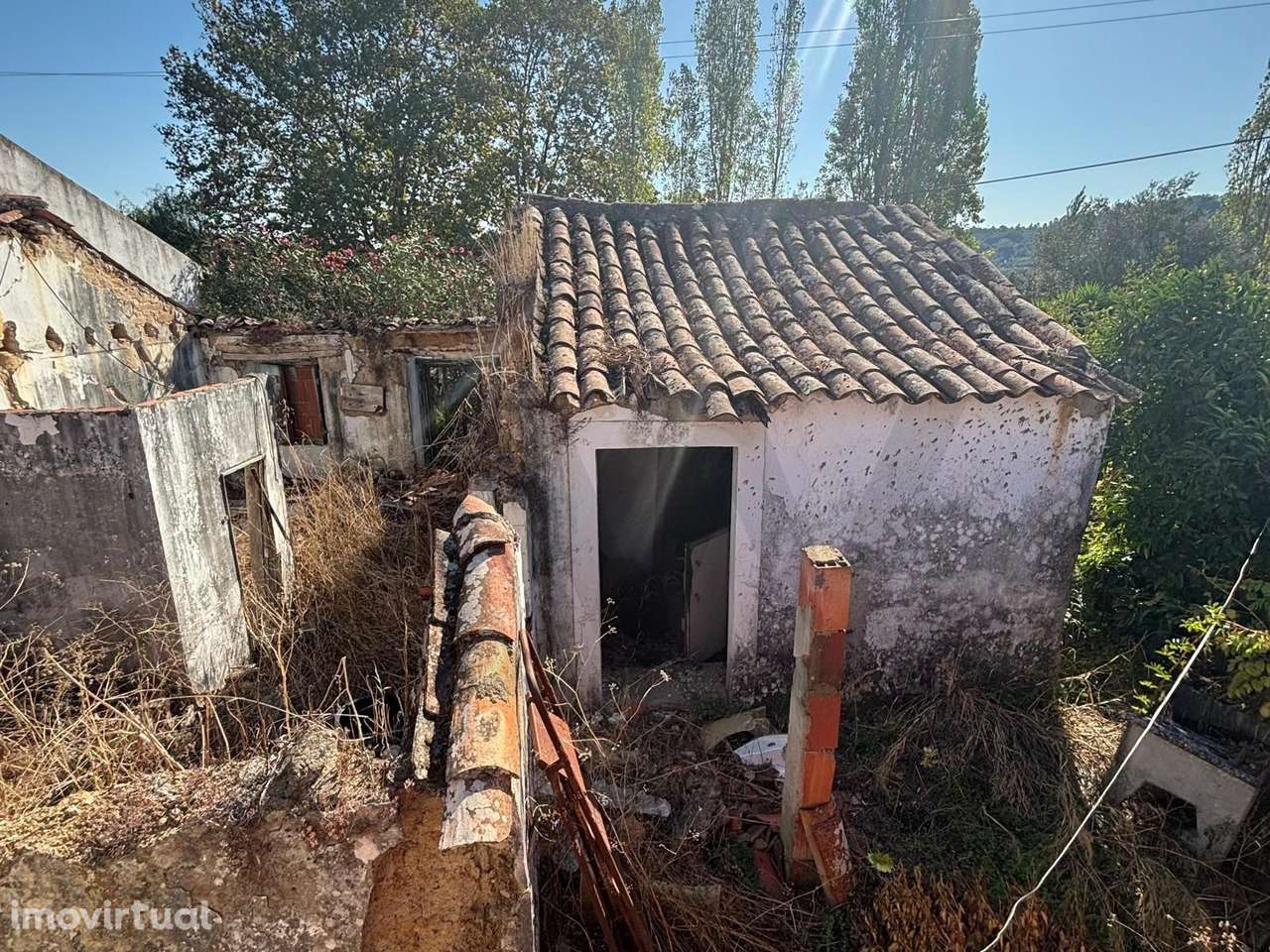 Ruína com potencial de reabilitação em Arrouquelas – Rio Maior - Grande imagem: 5/28