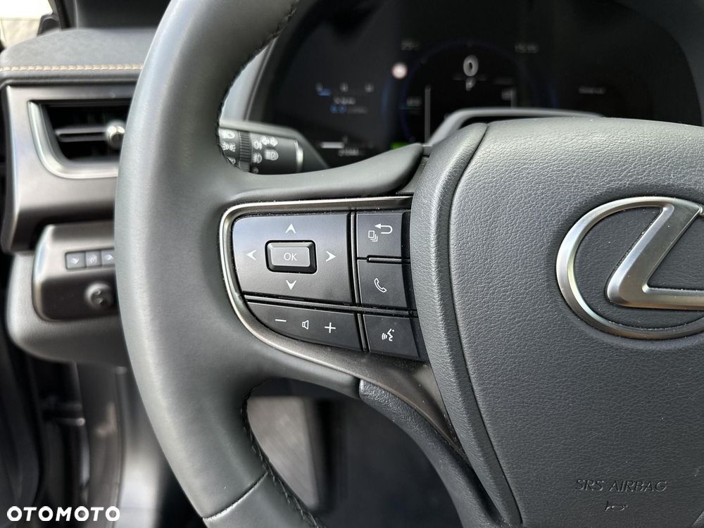 Lexus UX 300h F Sport Design - 16