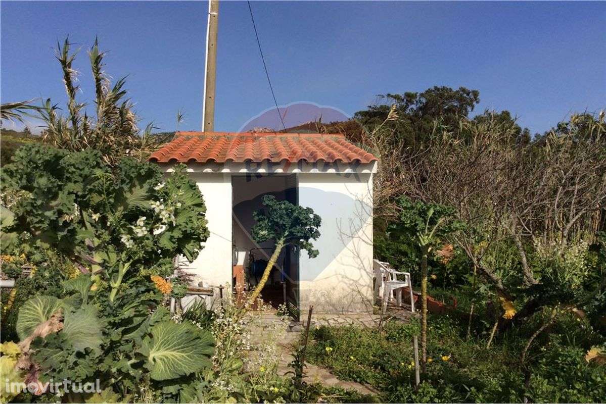 Terreno  para venda - Grande imagem: 5/5