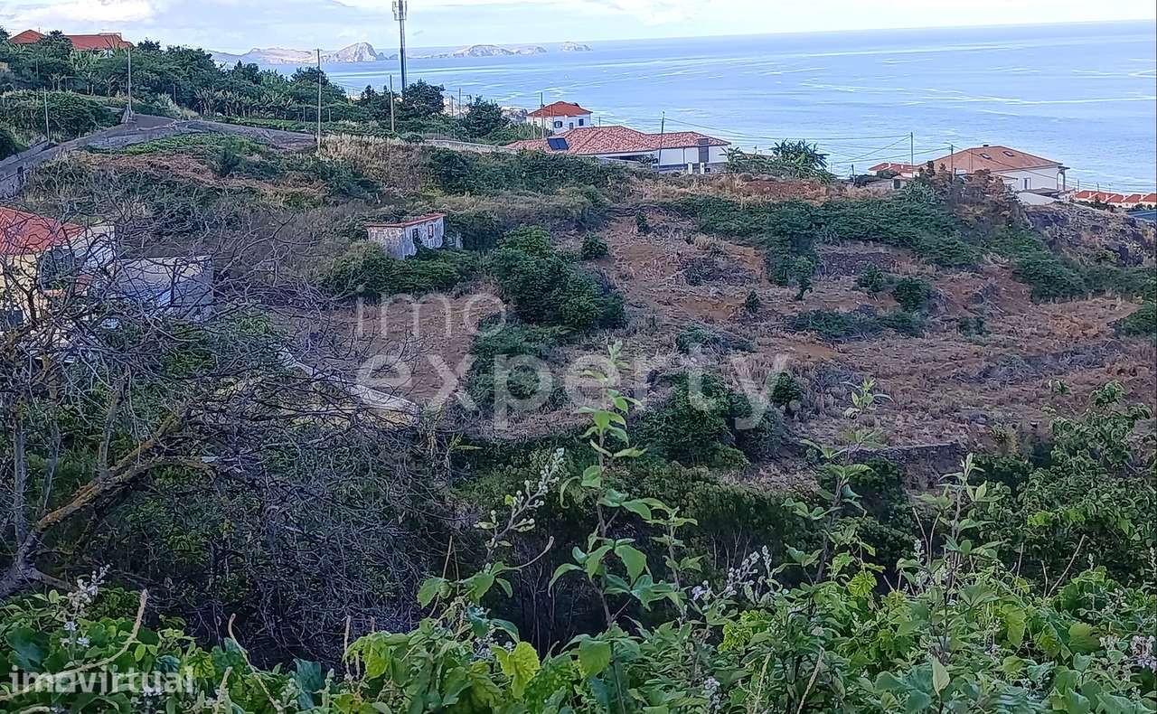 Terreno com vistas em Gaula com 7.670m2 - Grande imagem: 5/8
