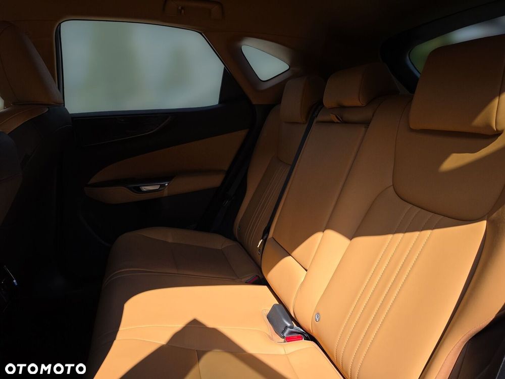 Lexus NX - 24