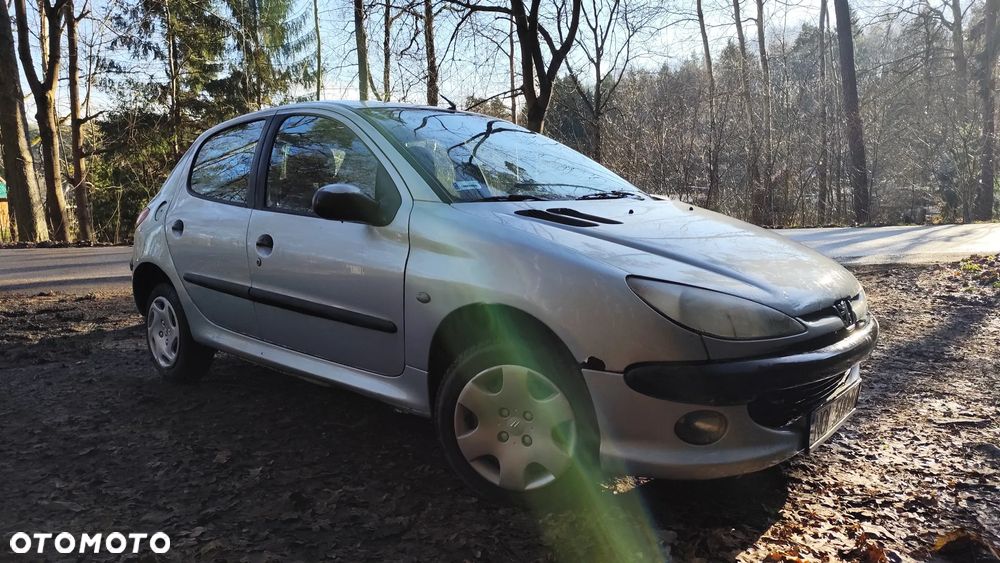 Peugeot 206 - 6