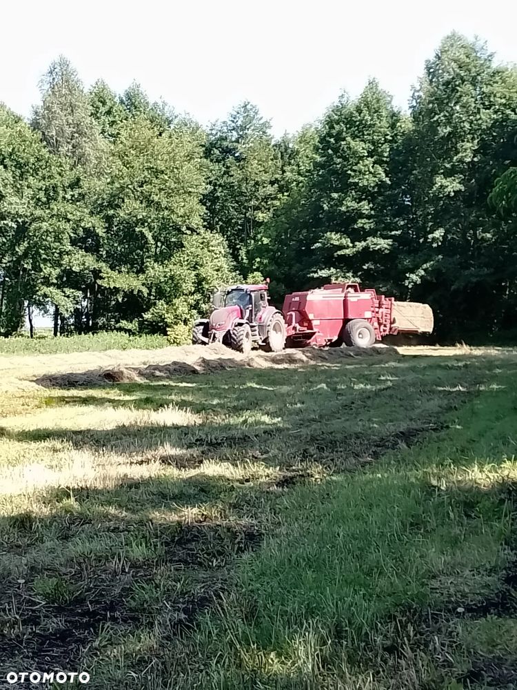 Massey Ferguson HESSTON 4900 - 1