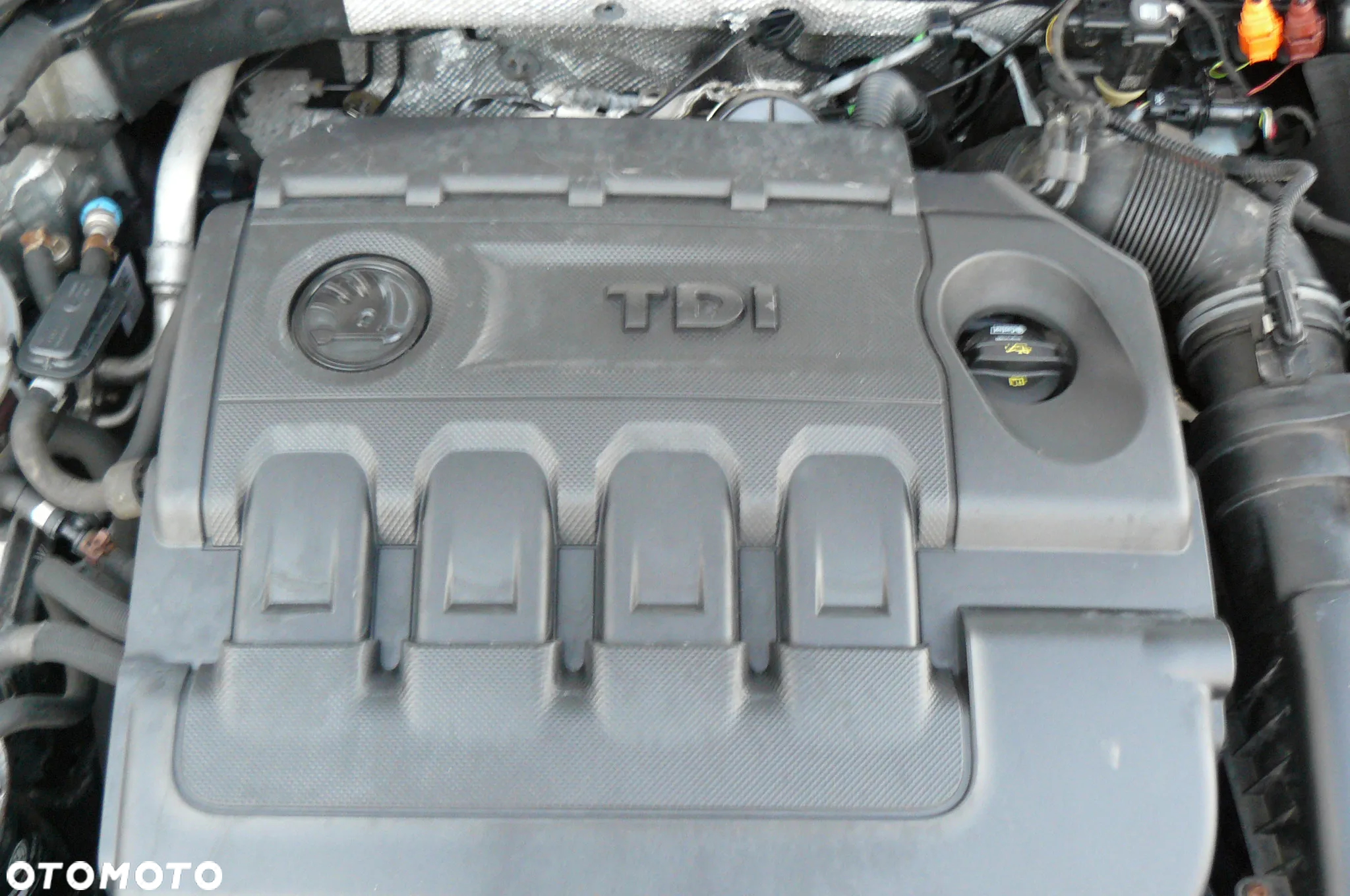 Skoda Octavia - 25