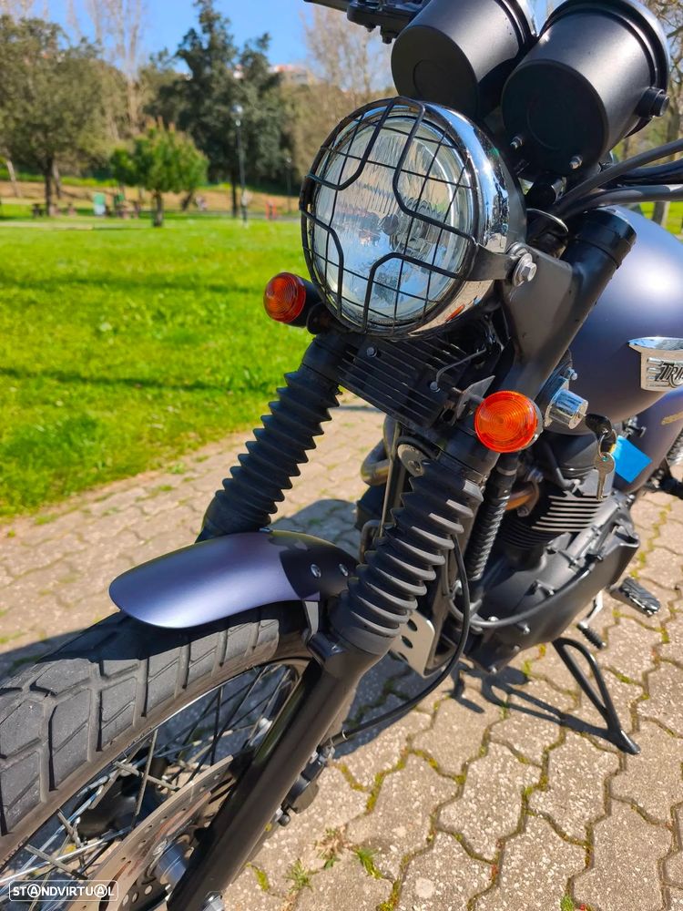 Triumph Scrambler 900 - 7