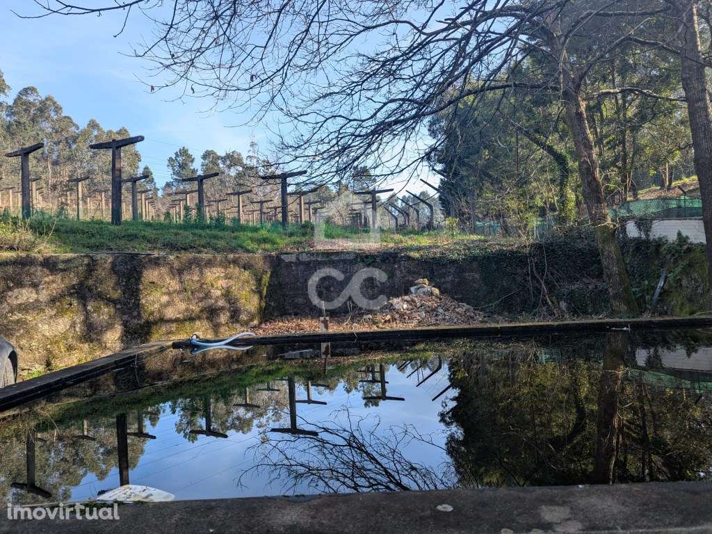 Terreno rústico com 8.000m2 - Grande imagem: 2/19