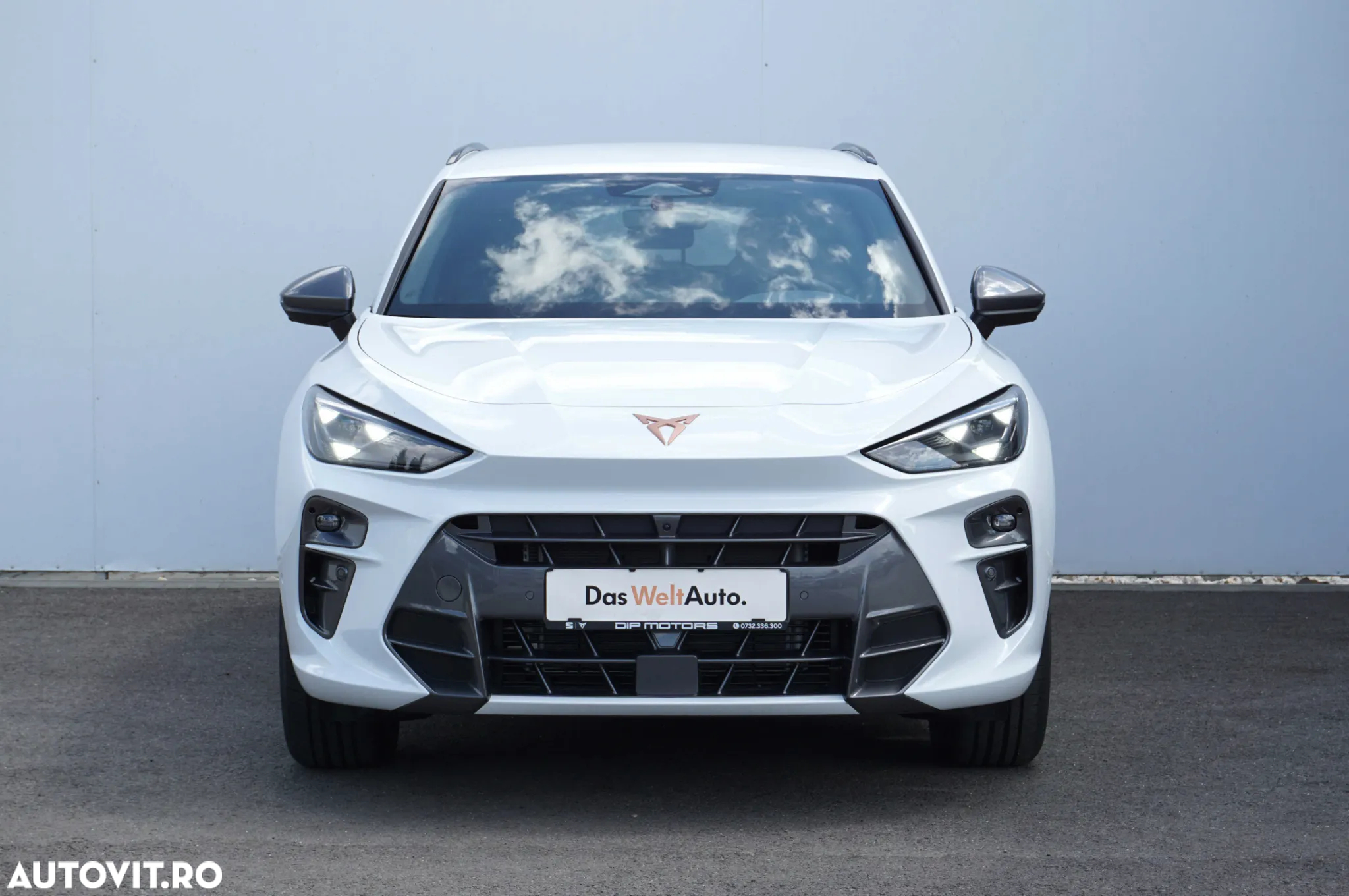 Cupra Terramar - 8